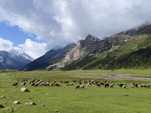 Chon Ashuu Valley