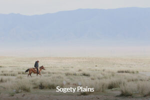 Sogety Plains - Kazakhstan Birding Tour