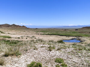 Sogety Plains, Kazkahstan