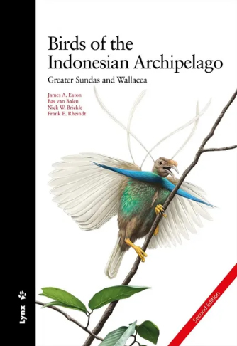 Java, Sumatra and Bali Birding Tour - Calidris Birding Tours