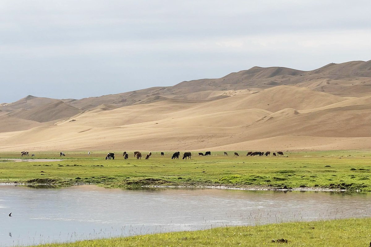 Sand Dunes at Bayan Lake