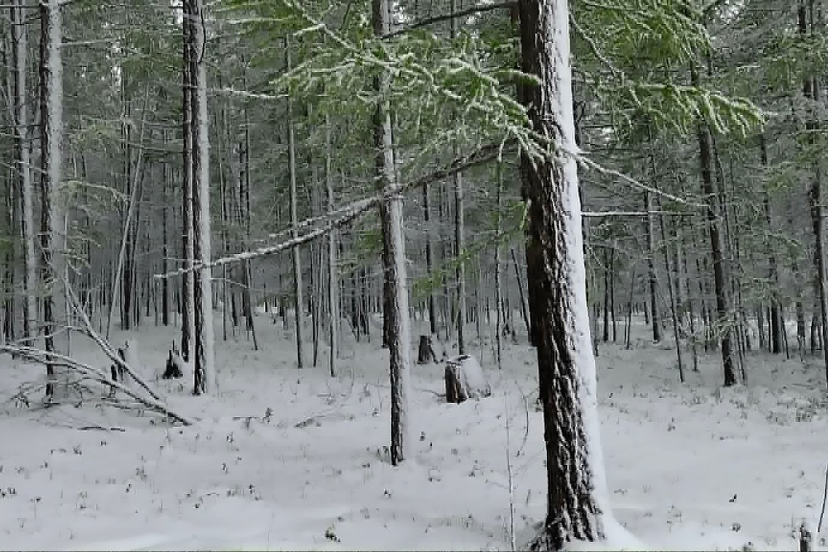 Unseasonal Snow at Gorkhi-Terelj National Park