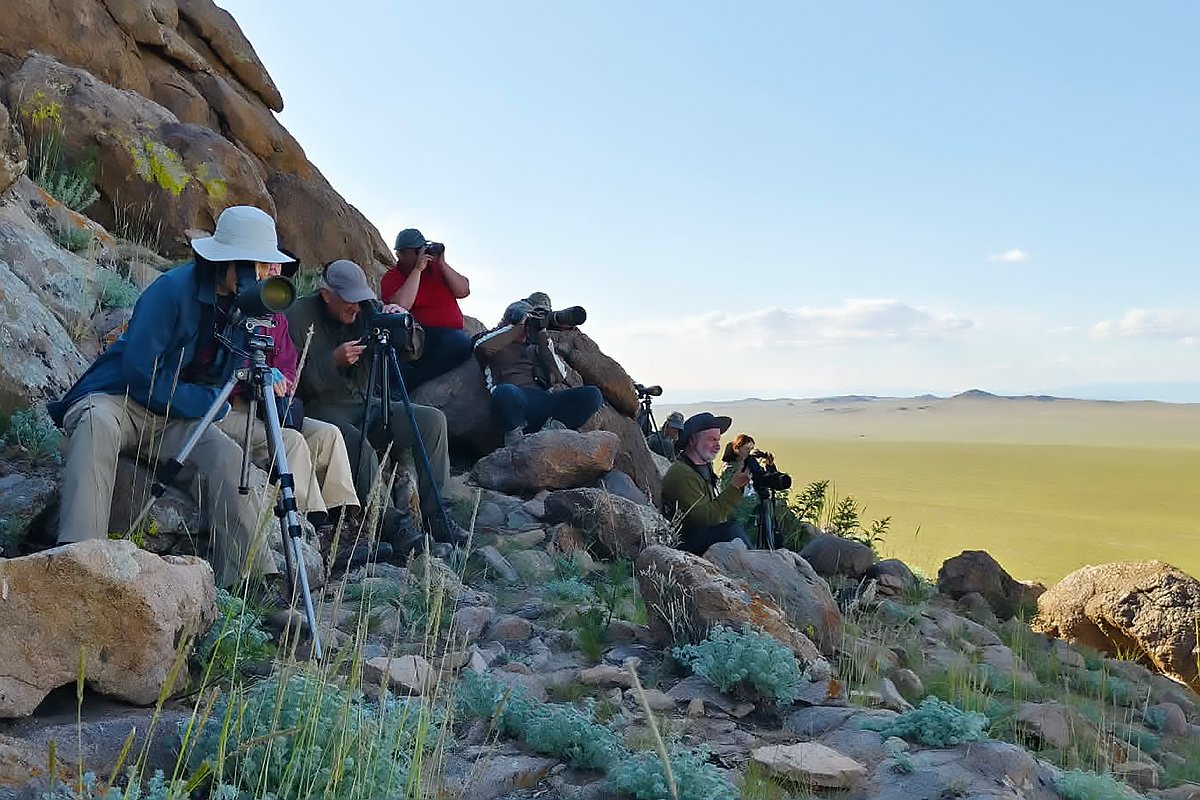 Watching Pallas's Cat, Margaz Mountains