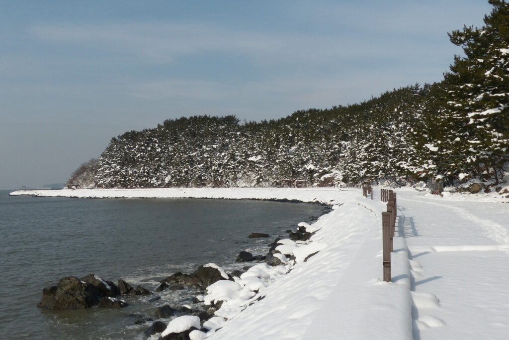 Snowy Daejin, East Coast